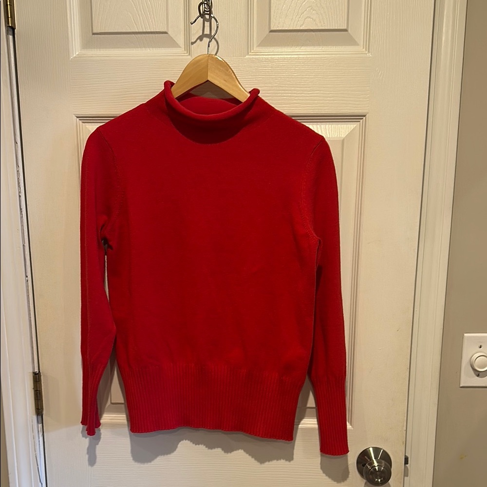 Pink/Red Turtleneck Sweater